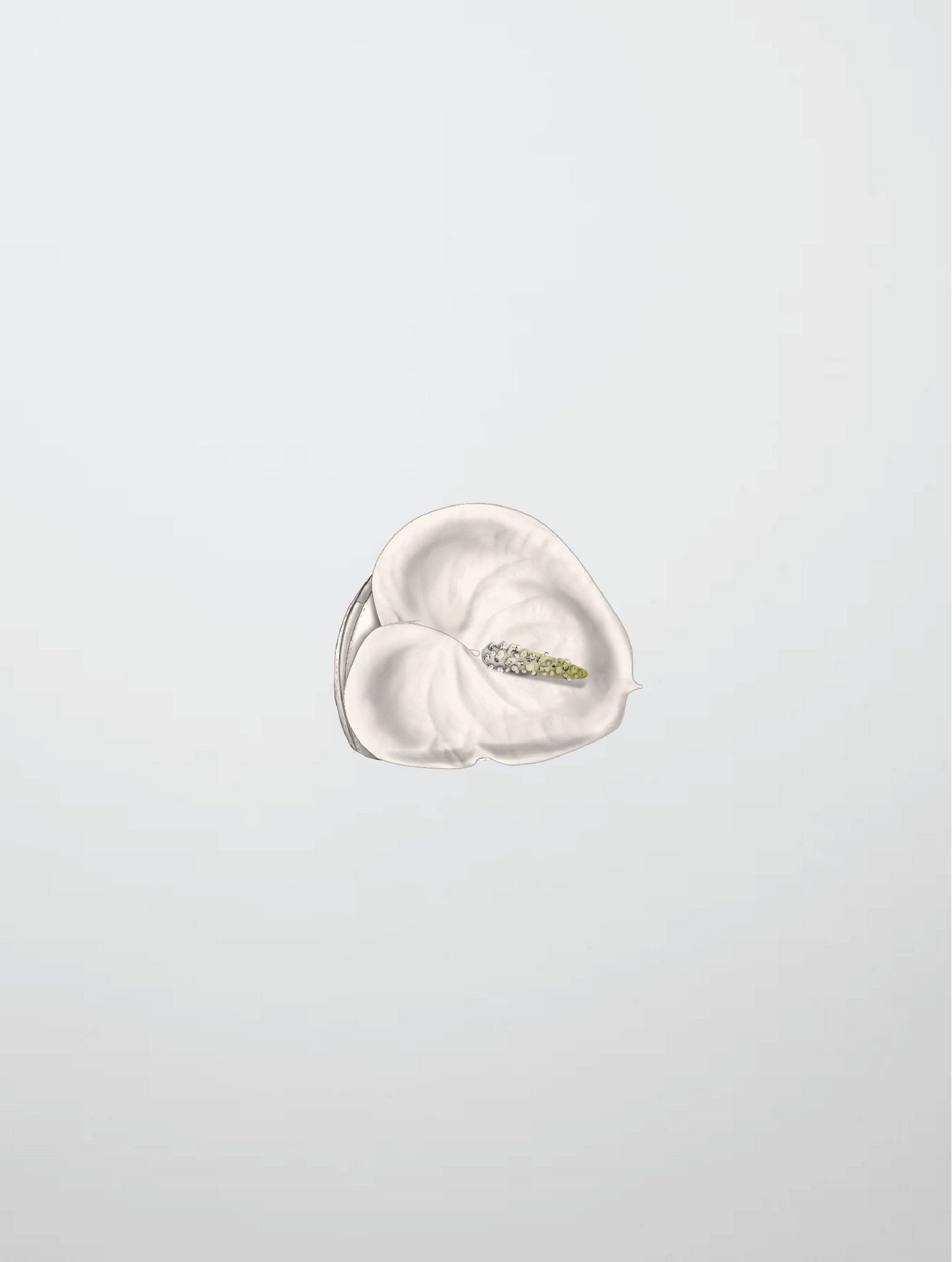 ANTHURIUM MINI TOTE
